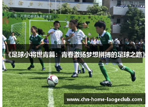 《足球小将世青篇：青春激扬梦想拼搏的足球之路》
