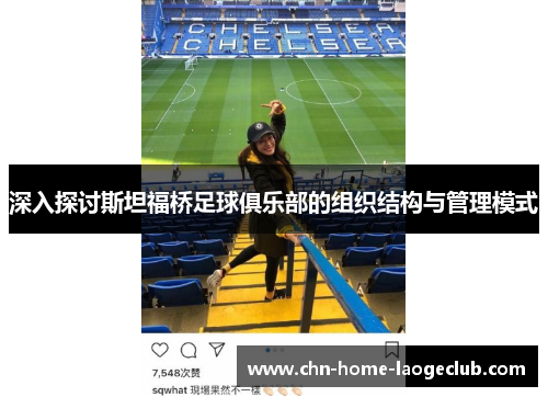 深入探讨斯坦福桥足球俱乐部的组织结构与管理模式