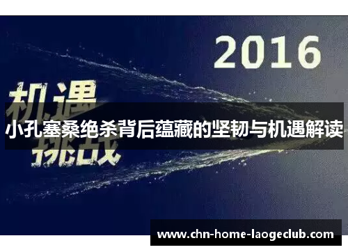 小孔塞桑绝杀背后蕴藏的坚韧与机遇解读