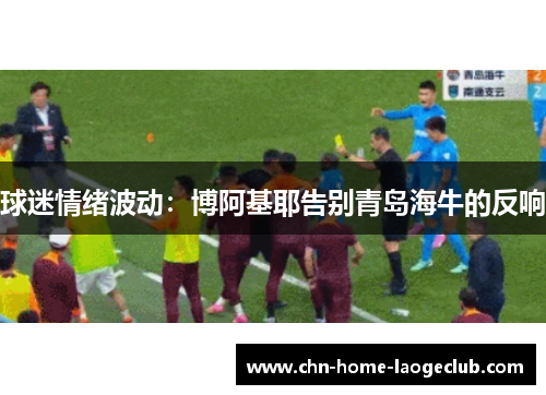球迷情绪波动：博阿基耶告别青岛海牛的反响