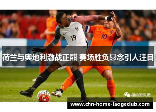 荷兰与奥地利激战正酣 赛场胜负悬念引人注目