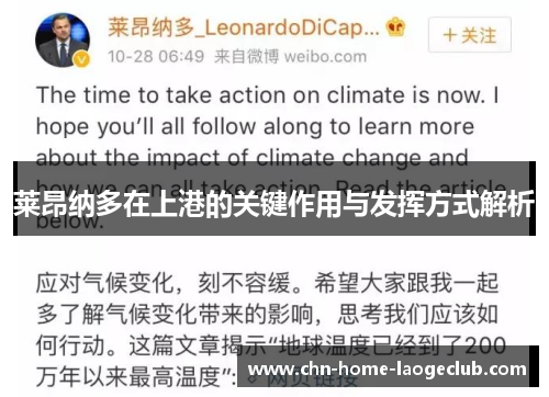 莱昂纳多在上港的关键作用与发挥方式解析