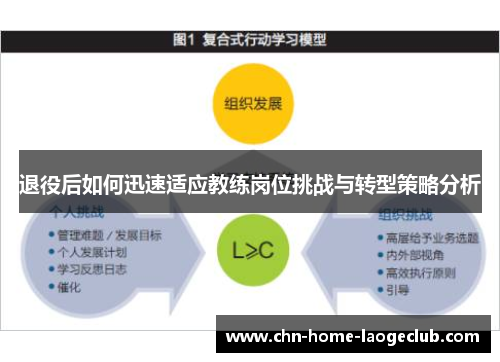 退役后如何迅速适应教练岗位挑战与转型策略分析