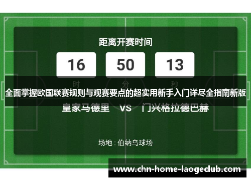 全面掌握欧国联赛规则与观赛要点的超实用新手入门详尽全指南新版