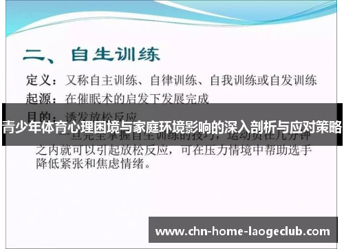 青少年体育心理困境与家庭环境影响的深入剖析与应对策略