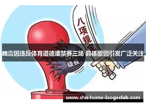 魏震因违反体育道德遭禁赛三场 具体原因引发广泛关注