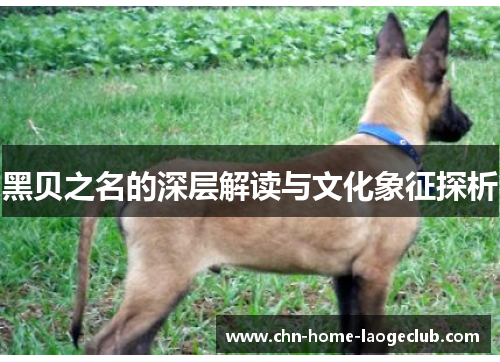 黑贝之名的深层解读与文化象征探析